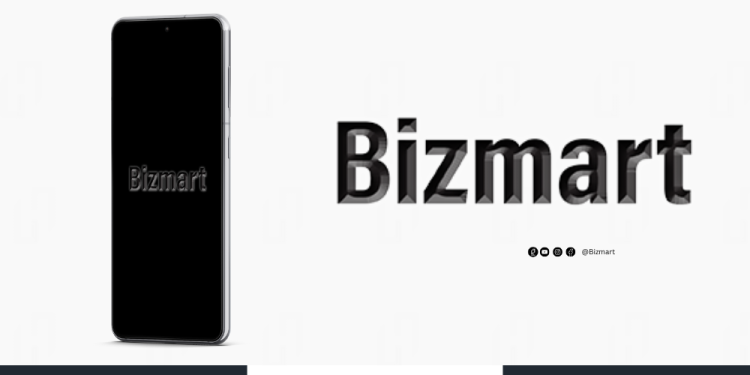 Inside Bizmart Holdings LLC: Global Growth, African Roots