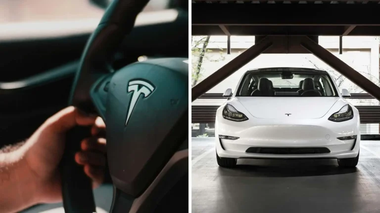 Tesla Owner Documents Battery